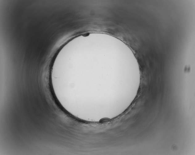 X0000102810005200809151002