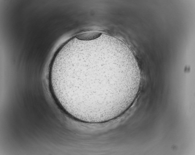 X0000102810006200809151002