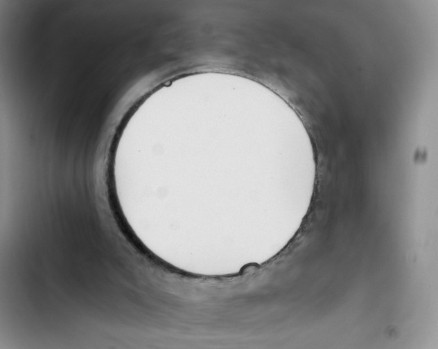 X0000102810007200809151002