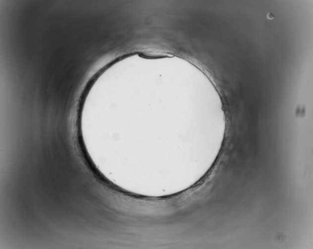 X0000102810008200809151002