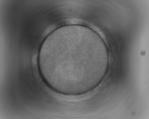 X0000102810010200809151002