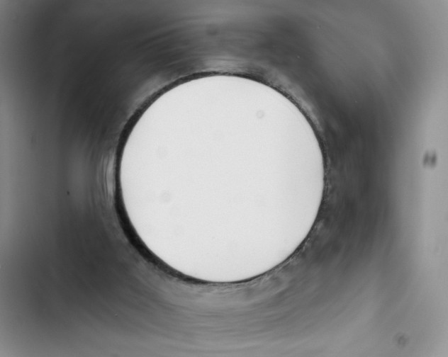 X0000102810011200809151002