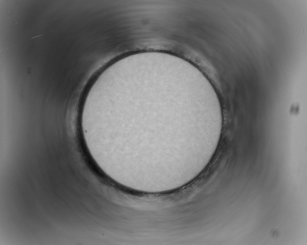 X0000102810012200809151002