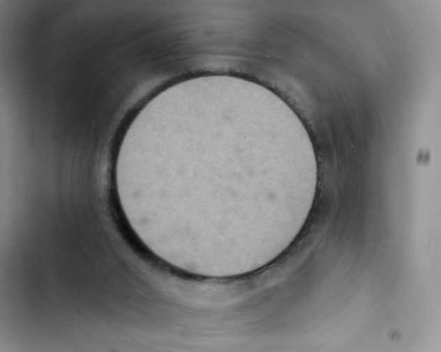 X0000102810016200809151002