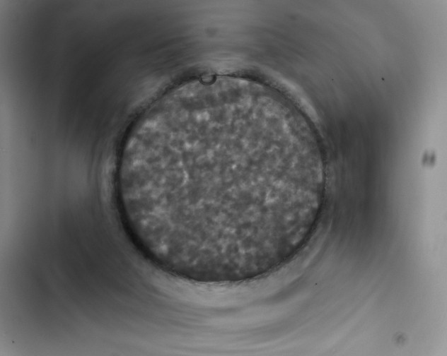 X0000102810018200809151002