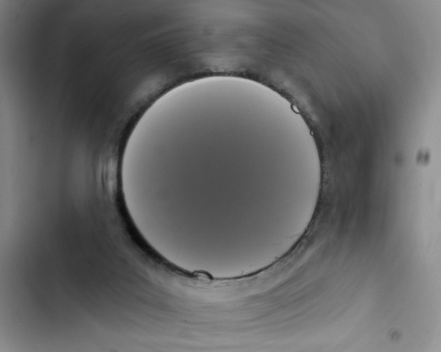 X0000102810019200809151002