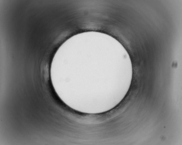 X0000102810020200809151002