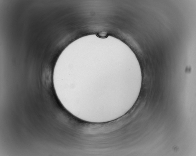 X0000102810021200809151002