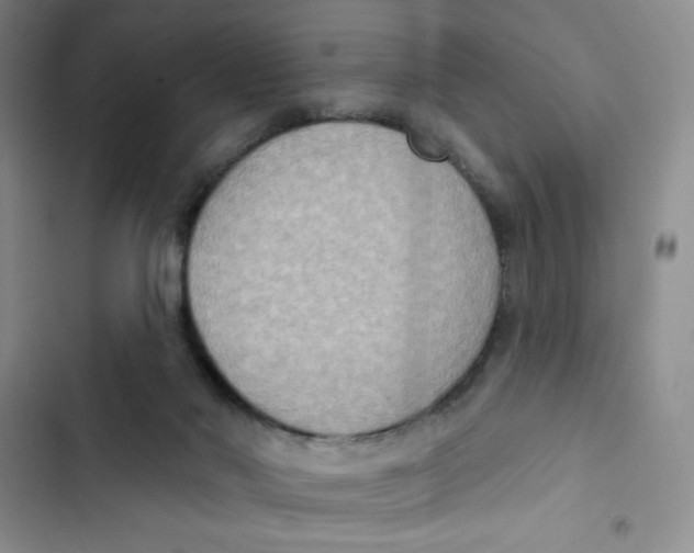 X0000102810022200809151002