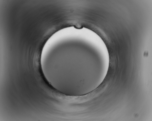 X0000102810023200809151002