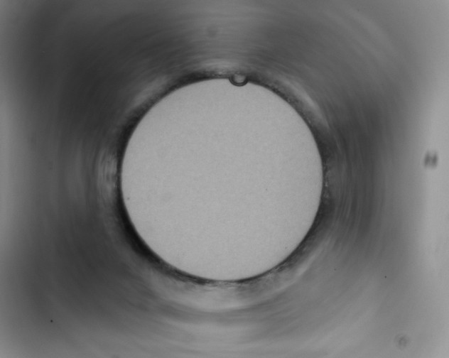 X0000102810024200809151002