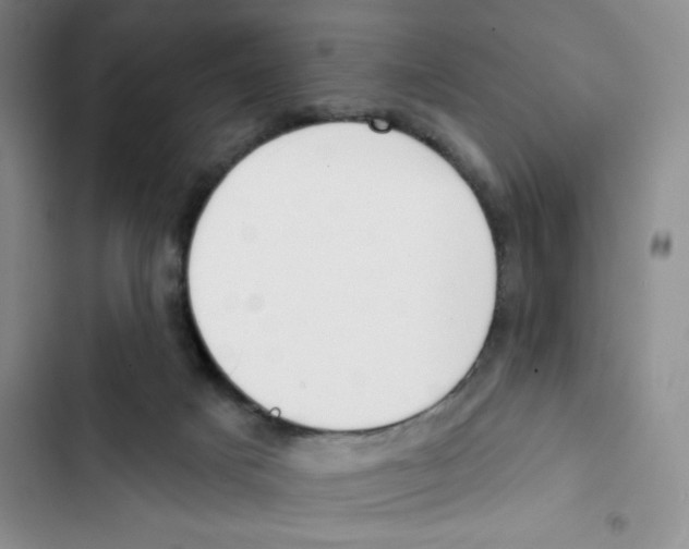 X0000102810025200809151002