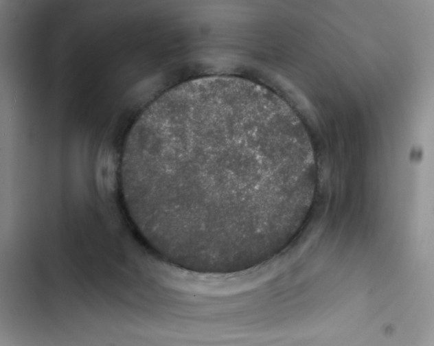 X0000102810026200809151002