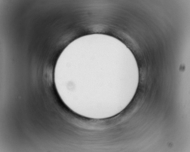 X0000102810028200809151002