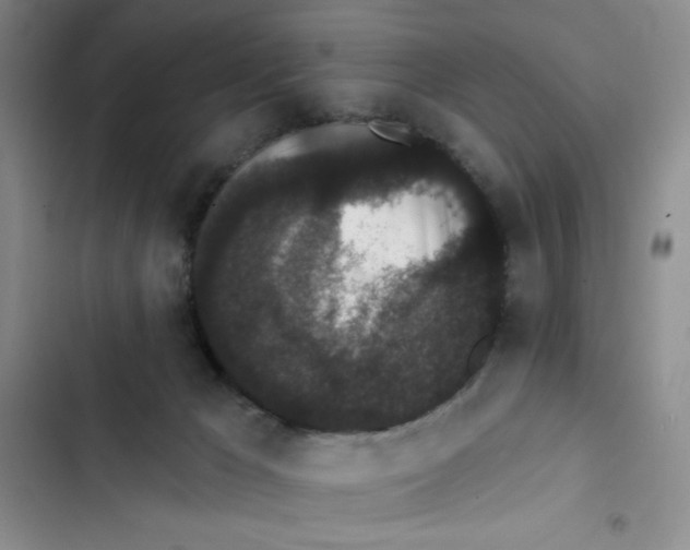 X0000102810029200809151002