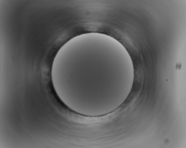 X0000102810031200809151002