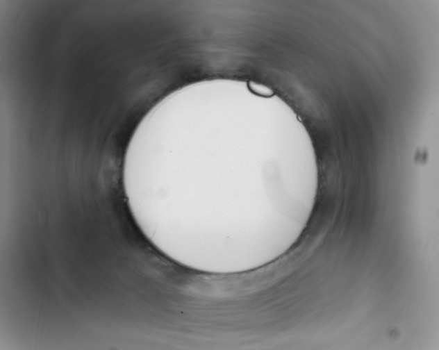 X0000102810033200809151002