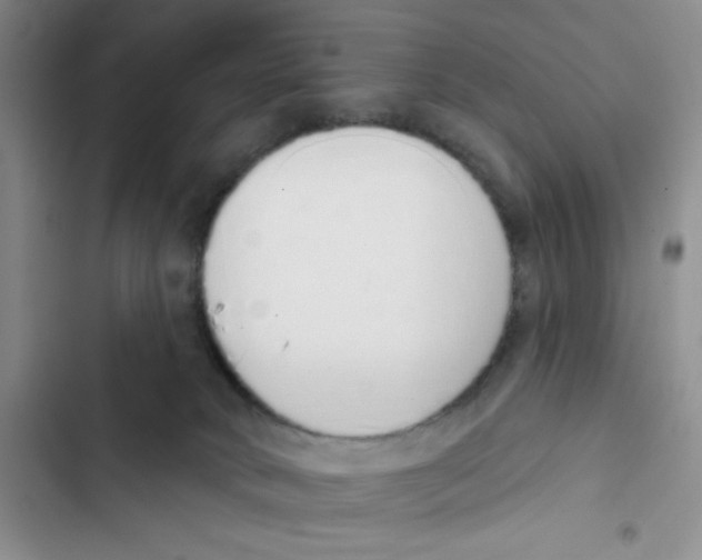 X0000102810034200809151002