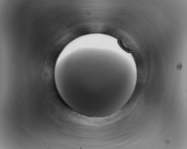 X0000102810035200809151002