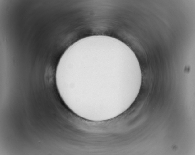 X0000102810038200809151002