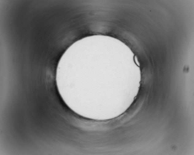 X0000102810040200809151002