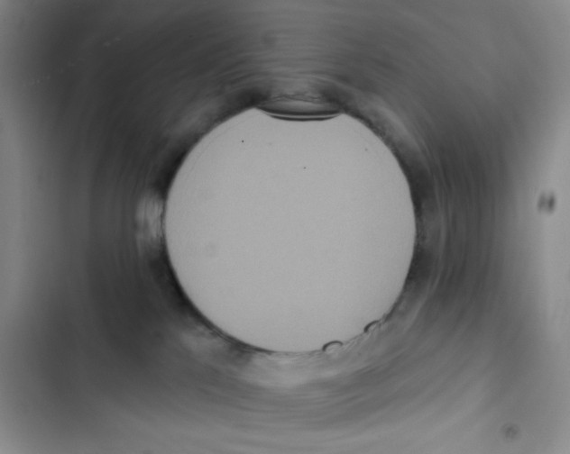 X0000102810041200809151002