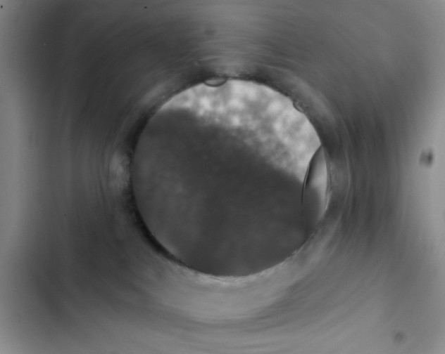 X0000102810043200809151002