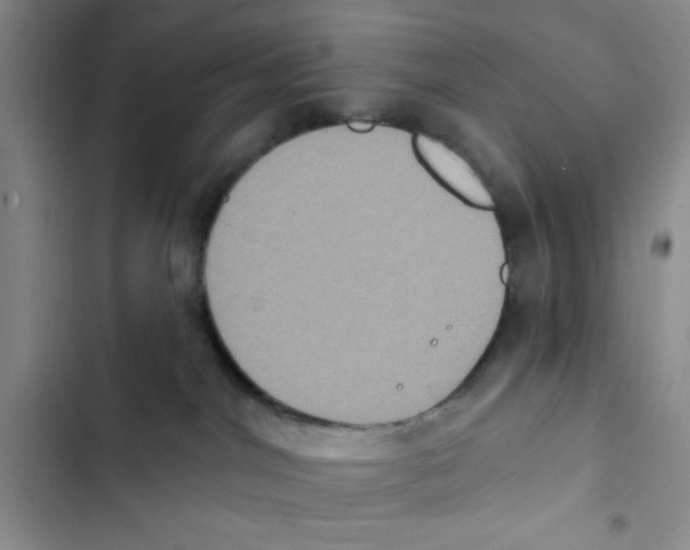 X0000102810044200809151002