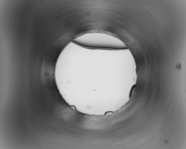 X0000102810045200809151002