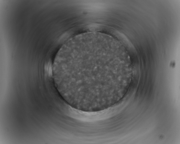 X0000102810046200809151002