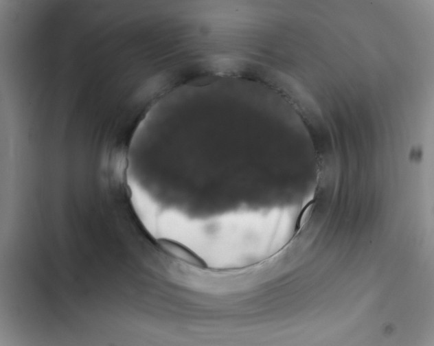 X0000102810047200809151002