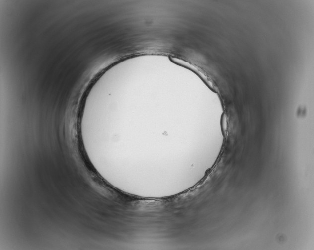 X0000102810050200809151001