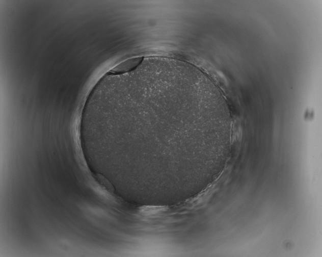 X0000102810051200809151001