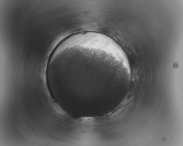 X0000102810052200809151001