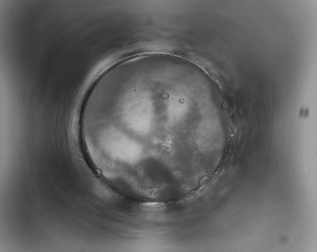 X0000102810053200809151001