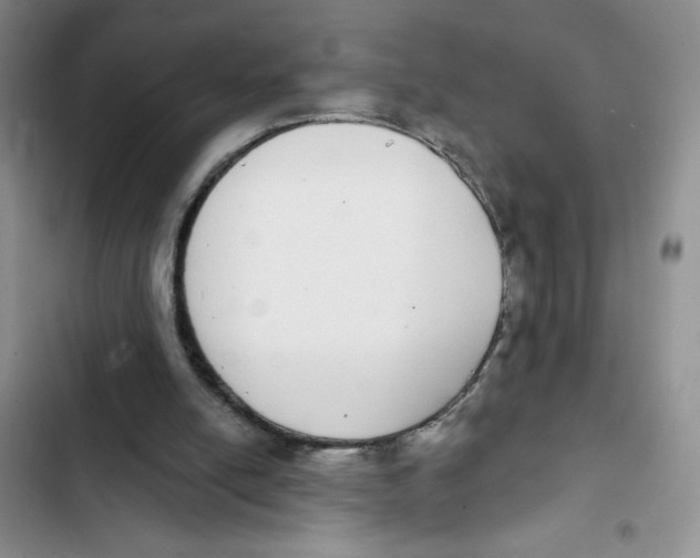 X0000102810054200809151001