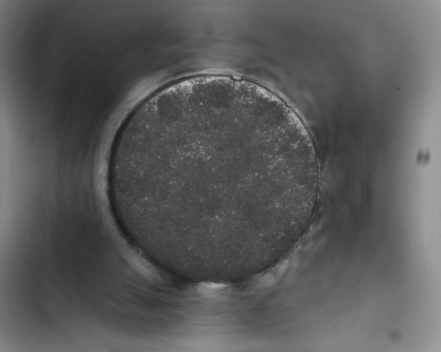 X0000102810055200809151001