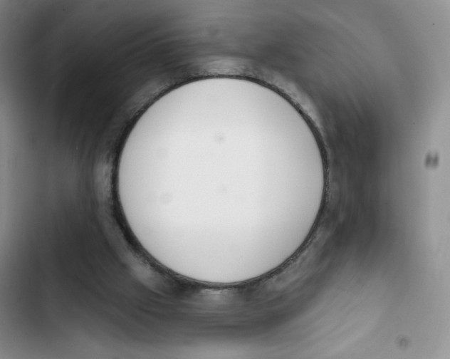 X0000102810057200809151001