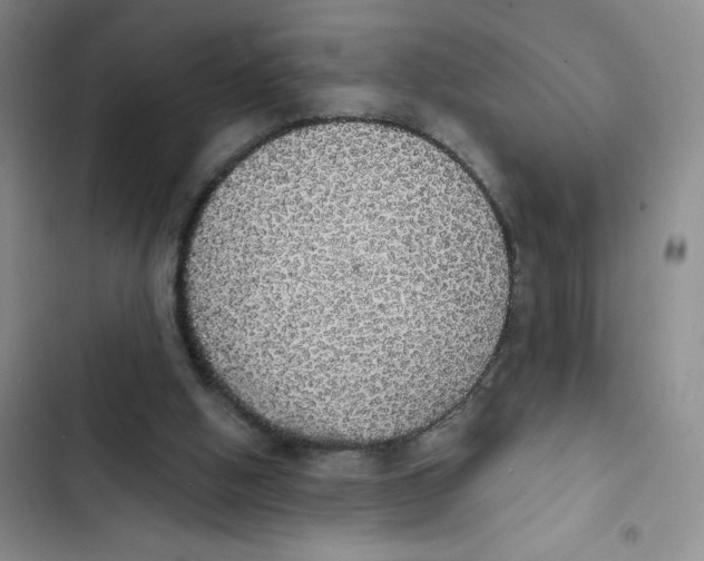 X0000102810058200809151001