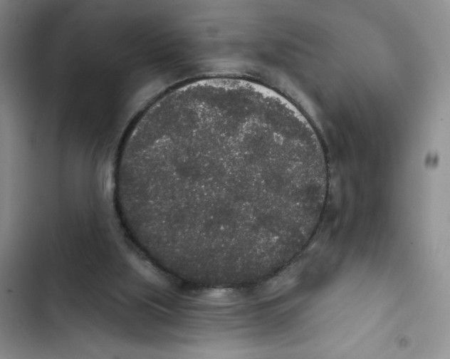 X0000102810059200809151001