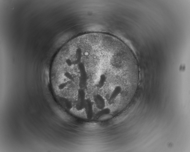 X0000102810061200809151001