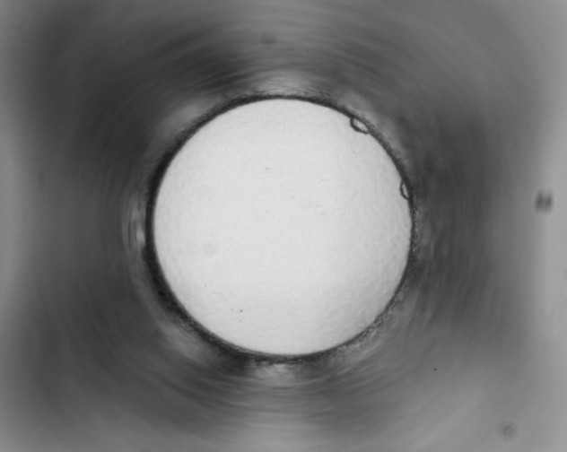 X0000102810062200809151001