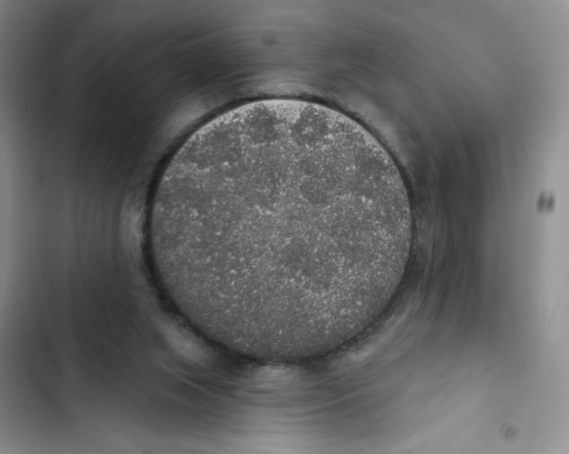 X0000102810063200809151001