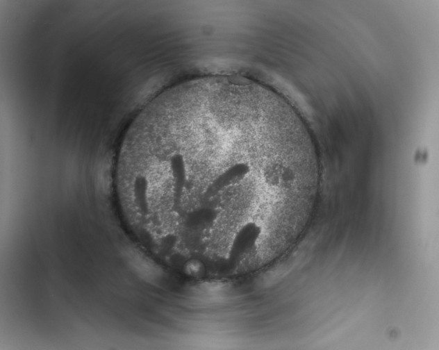 X0000102810065200809151001