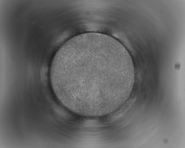 X0000102810066200809151001