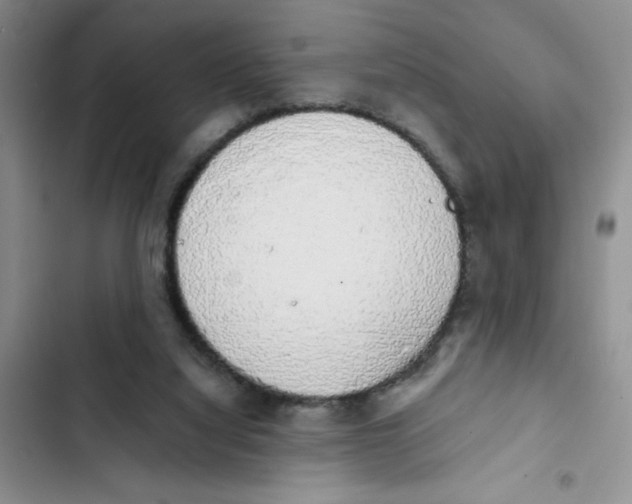 X0000102810068200809151001