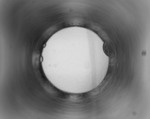 X0000102810070200809151001