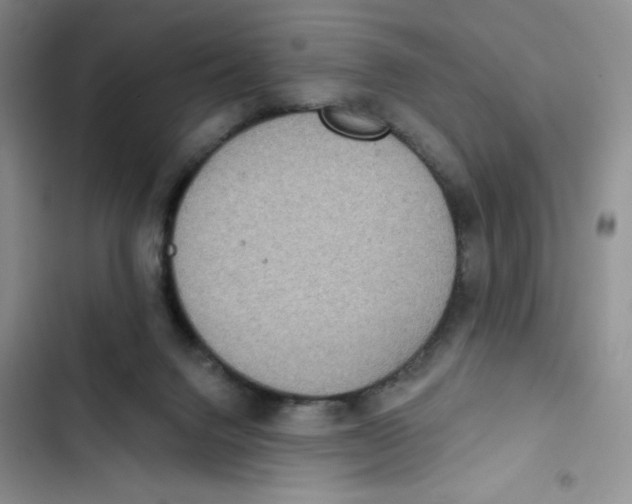 X0000102810072200809151001