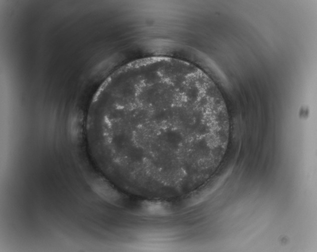 X0000102810073200809151001