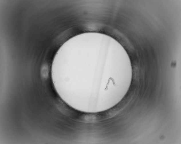 X0000102810075200809151001